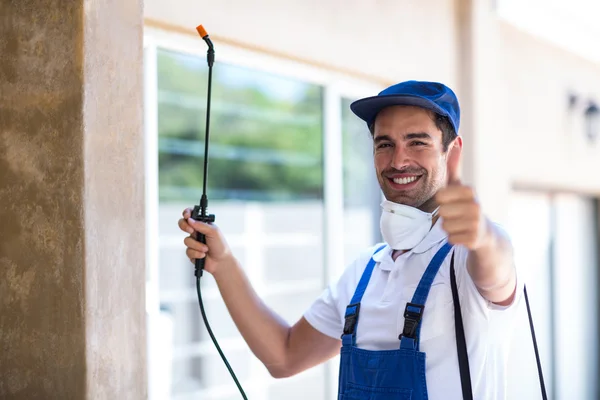 Harker Heights Wasp Removal