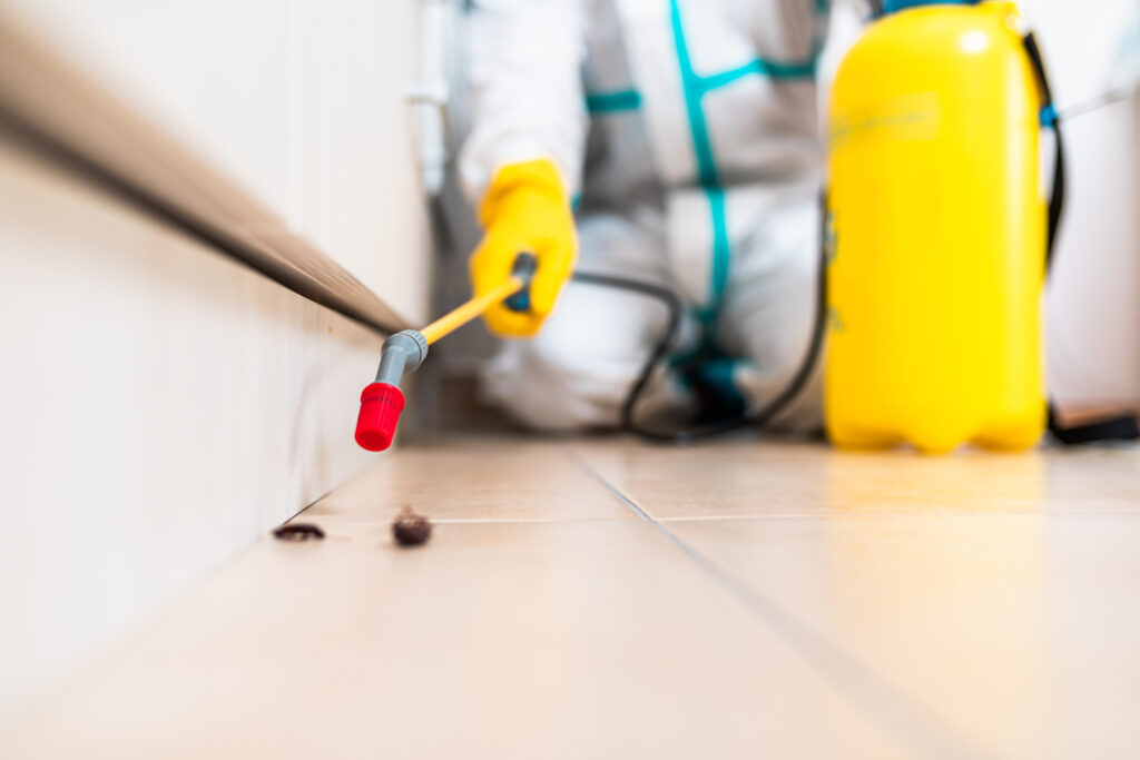 Harker Heights Cockroach Experts