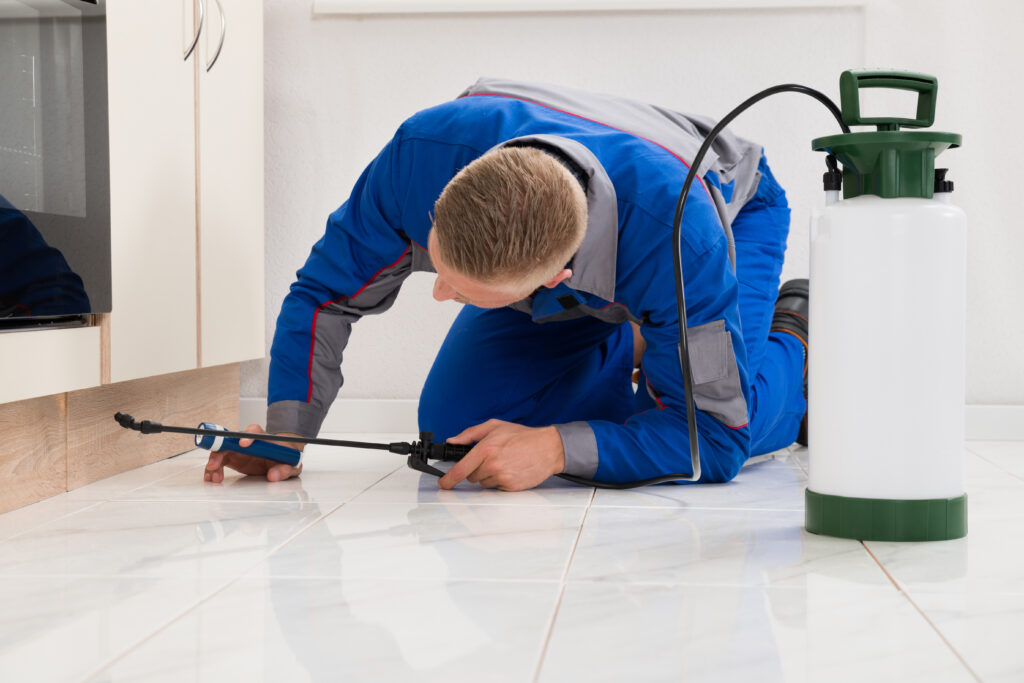 Harker Heights Ant Control Xperts