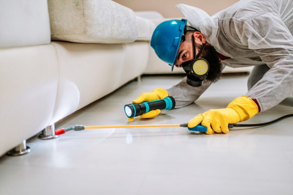 Harker Heights Termite Control