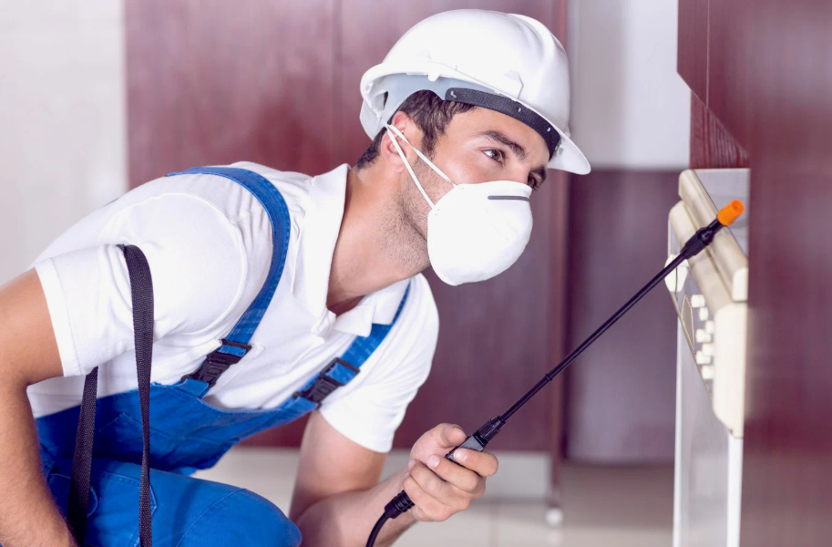 Harker Heights local pest services