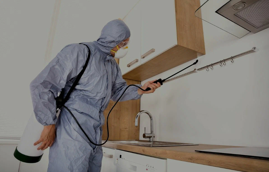 Harker Heights pest managment